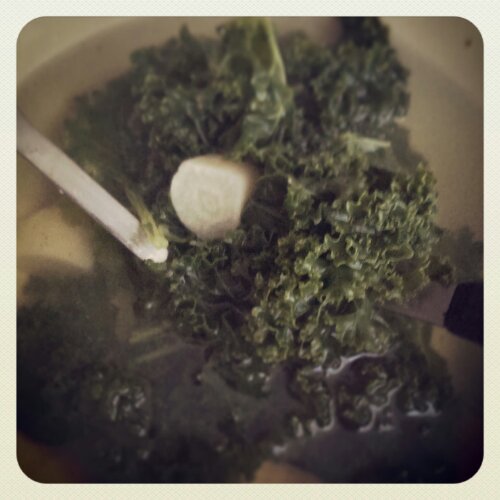 IMG_20130801_190555.jpg Alkaline